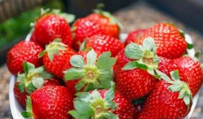 数九寒冬 草莓种出新花样（资费2元）